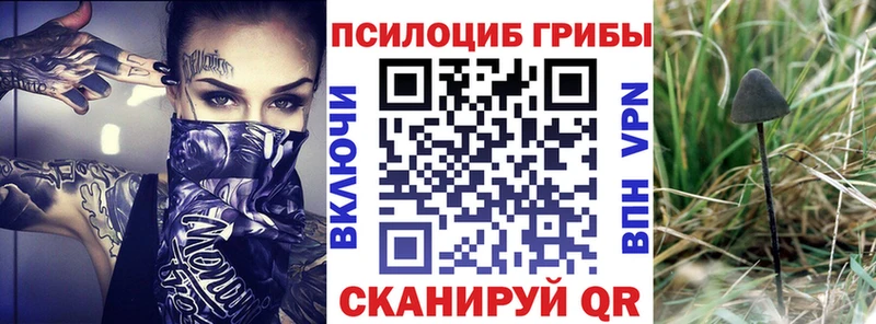 Псилоцибиновые грибы MAGIC MUSHROOMS  блэк спрут вход  Певек 